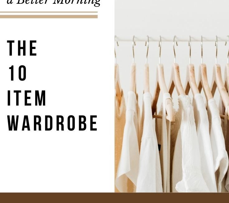 10itemwardrobe cover